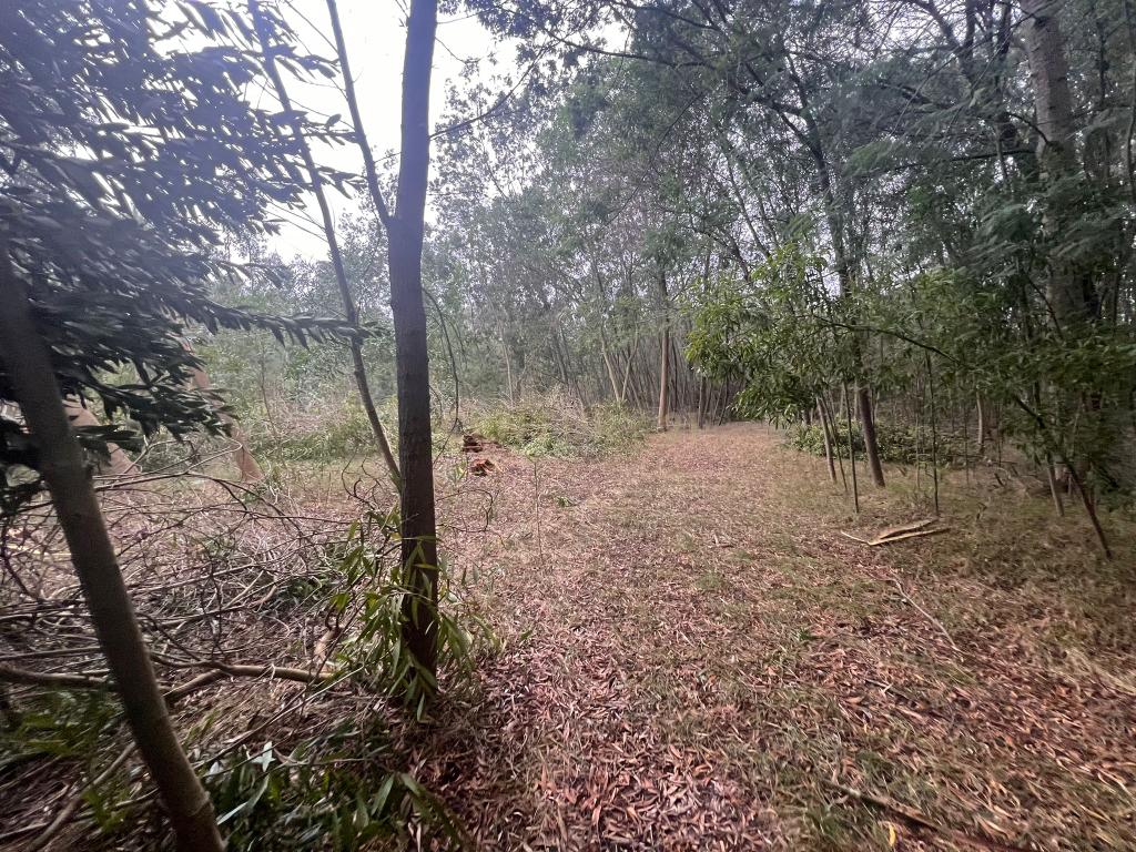 Terreno em Seixo, Mira - Oportunidade Única - Image 14