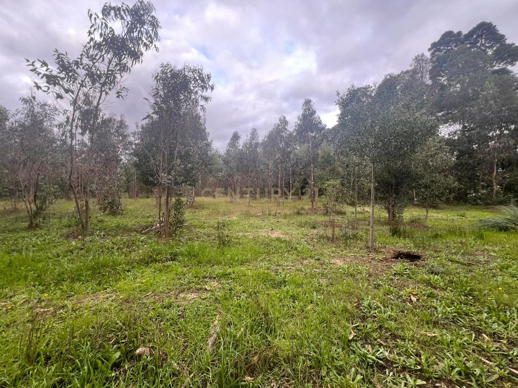 Terreno em Seixo, Mira - Oportunidade Única - Image 10