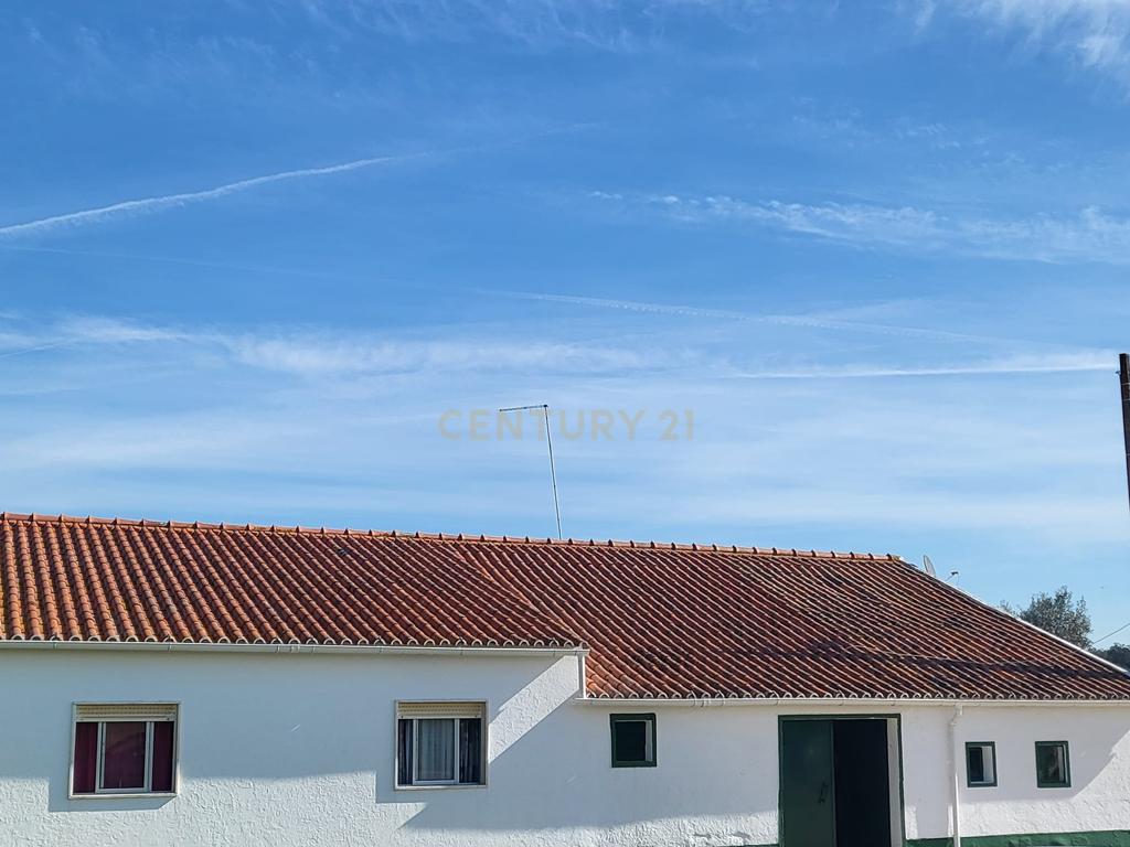 Quinta de 5ha com moradia no Sabugueiro, Arraiolos - Image 66