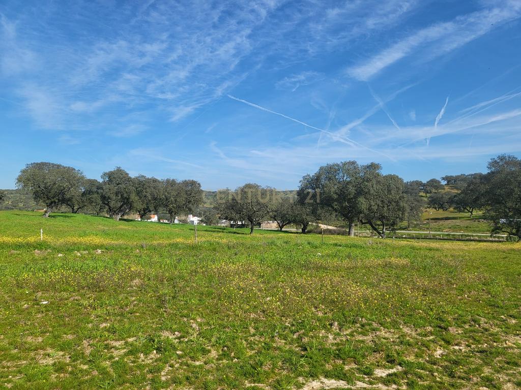 Quinta de 5ha com moradia no Sabugueiro, Arraiolos - Image 54