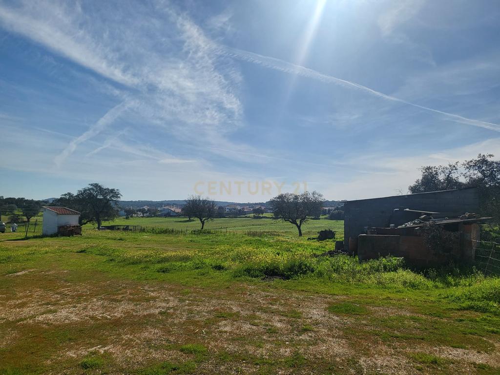 Quinta de 5ha com moradia no Sabugueiro, Arraiolos - Image 57