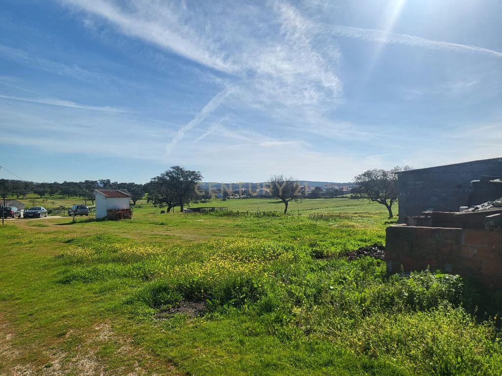 Quinta de 5ha com moradia no Sabugueiro, Arraiolos - Image 13