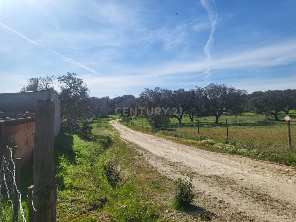 Quinta de 5ha com moradia no Sabugueiro, Arraiolos - Image 60