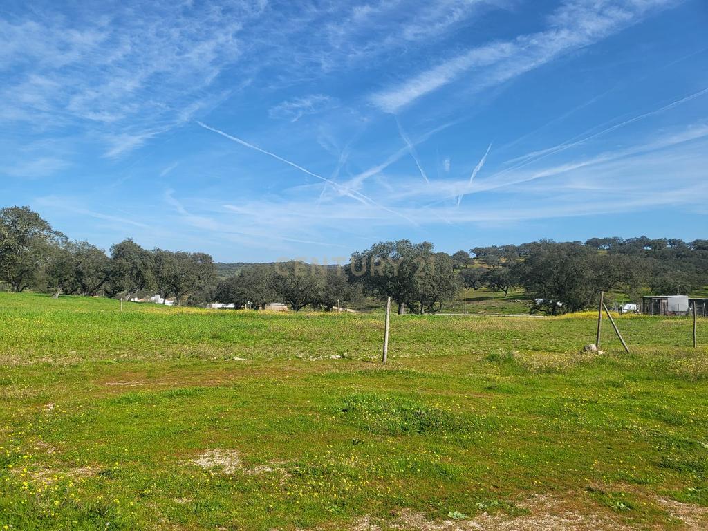 Quinta de 5ha com moradia no Sabugueiro, Arraiolos - Image 59