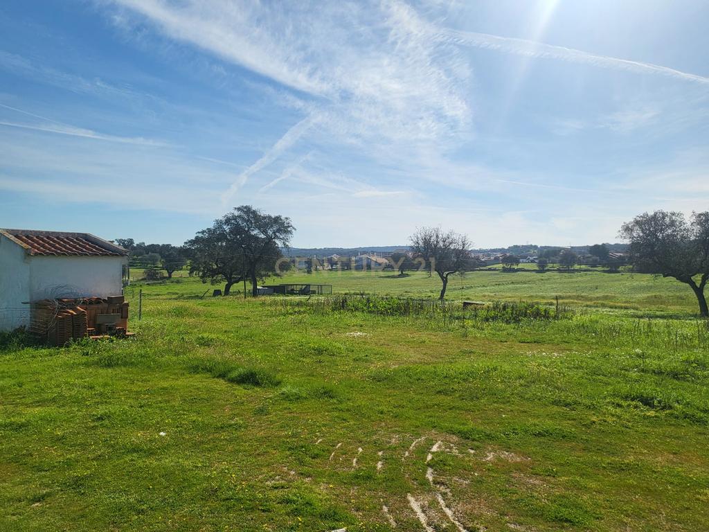 Quinta de 5ha com moradia no Sabugueiro, Arraiolos - Image 58
