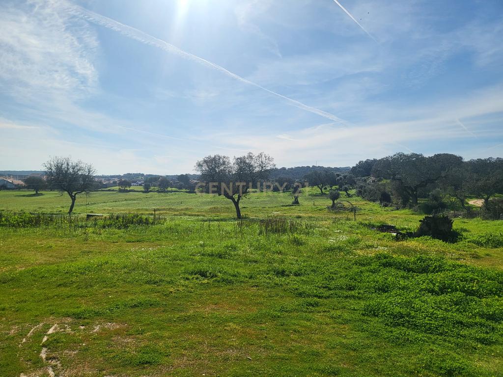 Quinta de 5ha com moradia no Sabugueiro, Arraiolos - Image 47