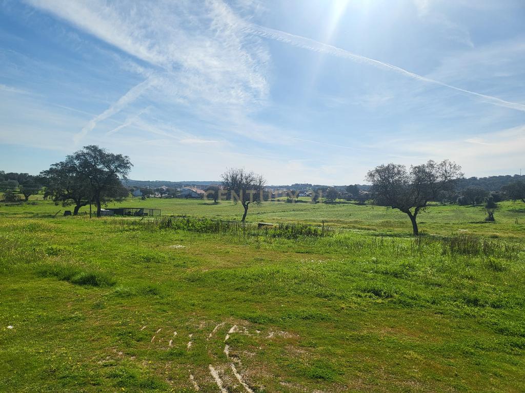 Quinta de 5ha com moradia no Sabugueiro, Arraiolos - Image 46
