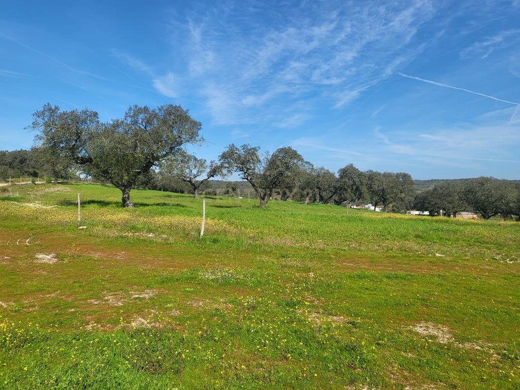Quinta de 5ha com moradia no Sabugueiro, Arraiolos - Image 51