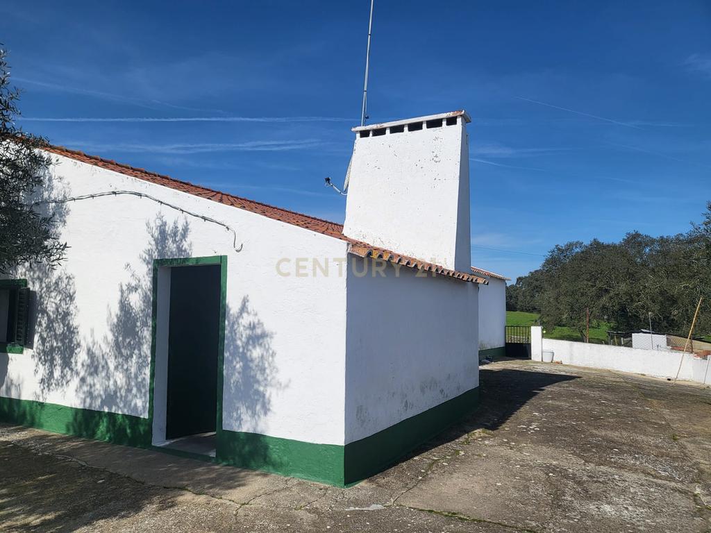 Quinta de 5ha com moradia no Sabugueiro, Arraiolos - Image 38