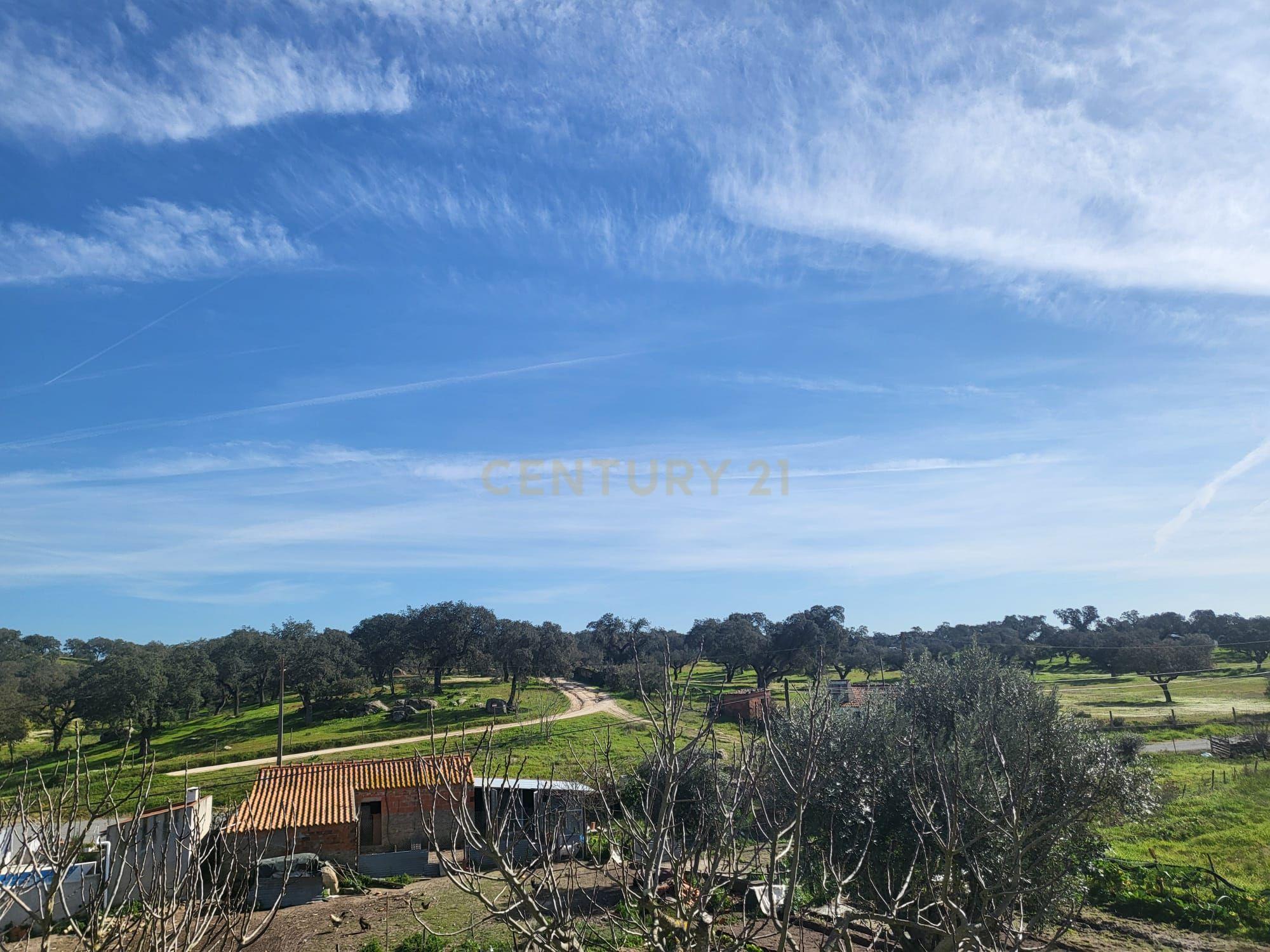 Quinta de 5ha com moradia no Sabugueiro, Arraiolos - Image 44