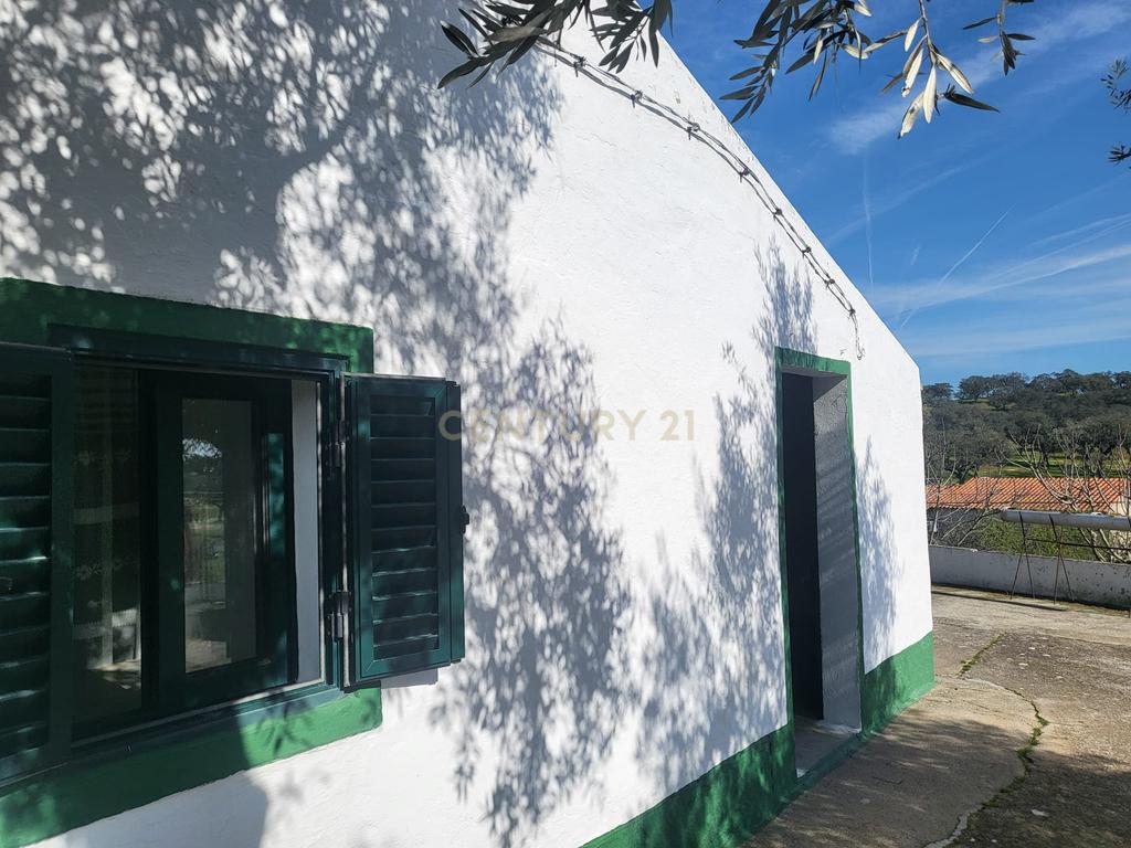 Quinta de 5ha com moradia no Sabugueiro, Arraiolos - Image 37