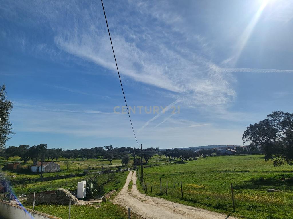 Quinta de 5ha com moradia no Sabugueiro, Arraiolos - Image 45