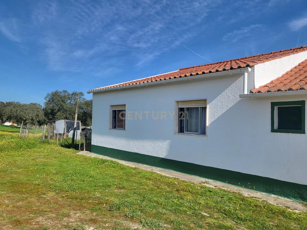 Quinta de 5ha com moradia no Sabugueiro, Arraiolos - Image 42