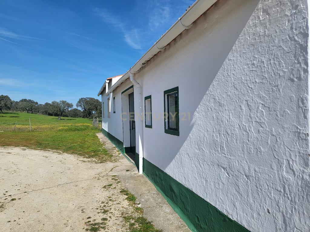 Quinta de 5ha com moradia no Sabugueiro, Arraiolos - Image 40
