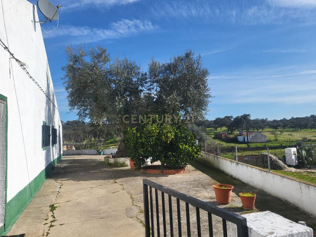 Quinta de 5ha com moradia no Sabugueiro, Arraiolos - Image 35