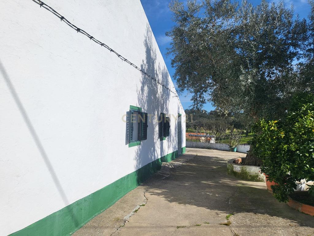 Quinta de 5ha com moradia no Sabugueiro, Arraiolos - Image 36