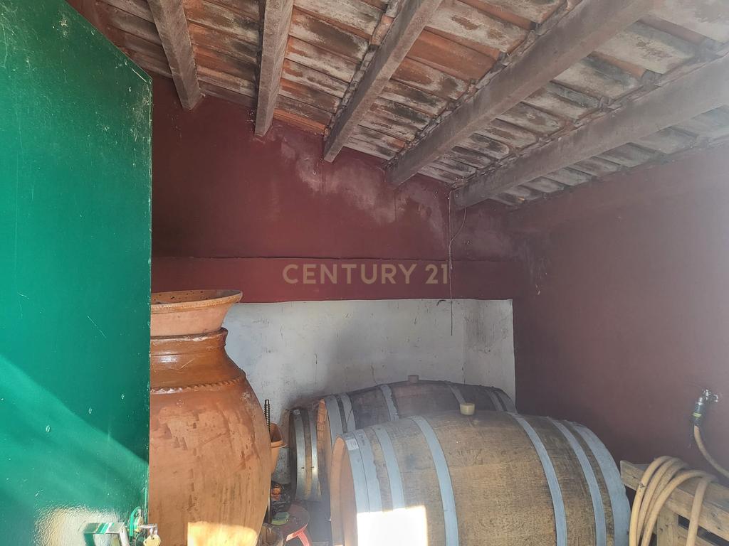 Quinta de 5ha com moradia no Sabugueiro, Arraiolos - Image 39