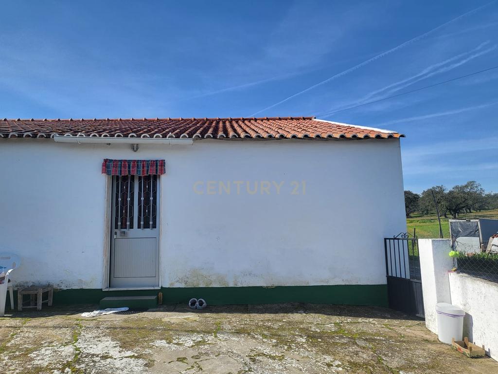 Quinta de 5ha com moradia no Sabugueiro, Arraiolos - Image 68