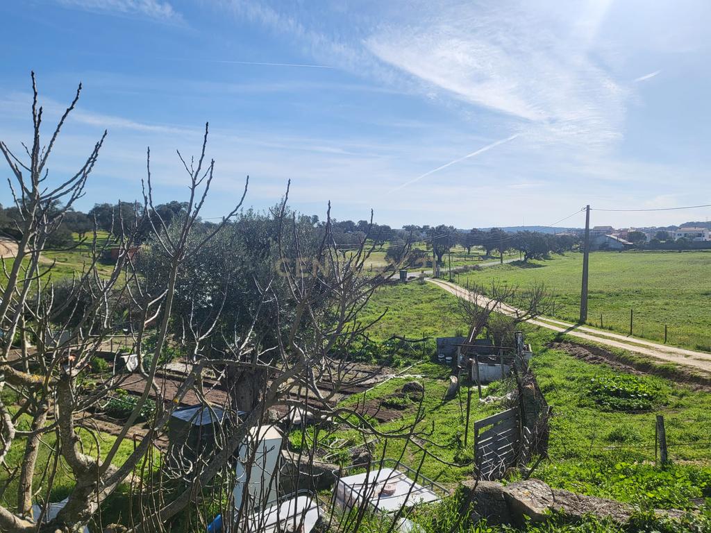 Quinta de 5ha com moradia no Sabugueiro, Arraiolos - Image 17
