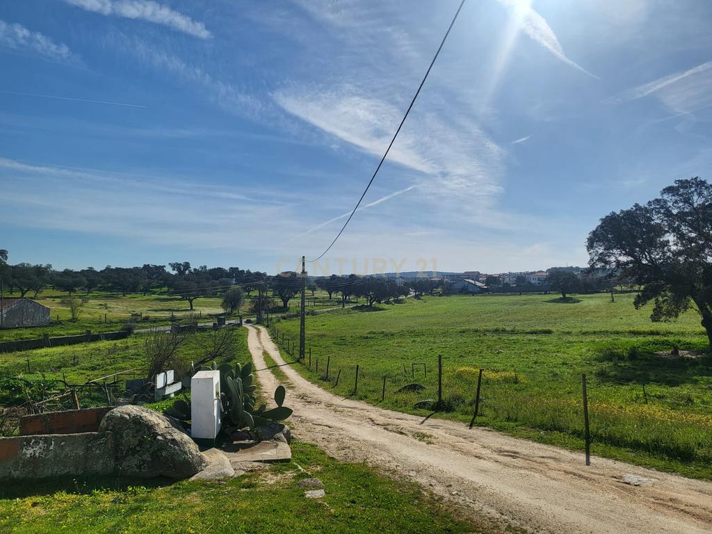 Quinta de 5ha com moradia no Sabugueiro, Arraiolos - Image 9