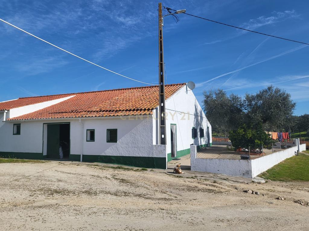 Quinta de 5ha com moradia no Sabugueiro, Arraiolos - Image 3