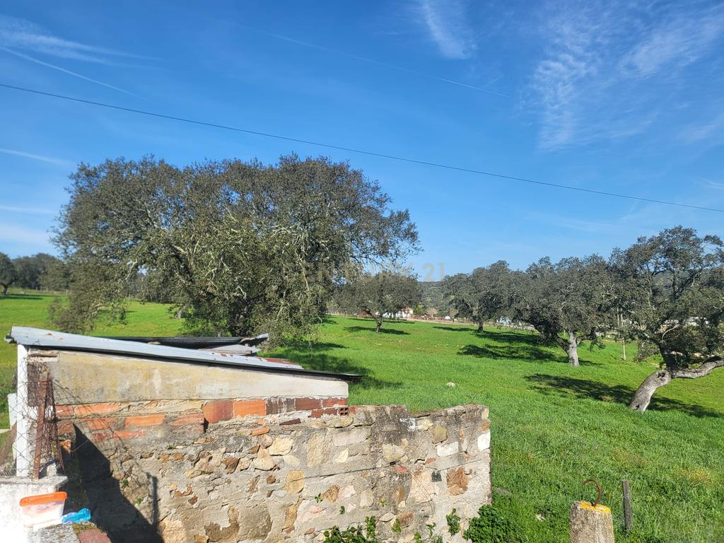 Quinta de 5ha com moradia no Sabugueiro, Arraiolos - Image 16