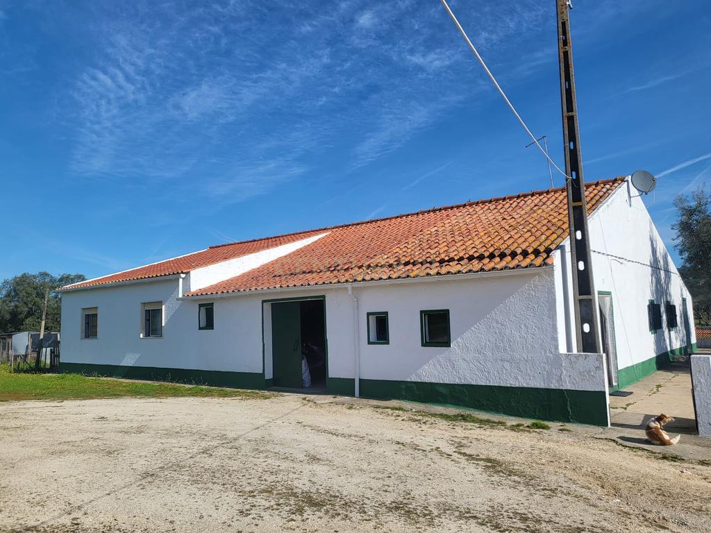 Quinta de 5ha com moradia no Sabugueiro, Arraiolos - Image 31