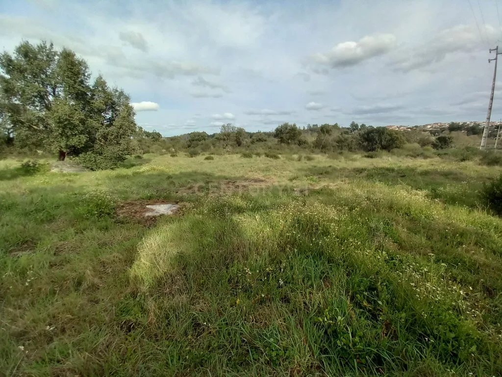 Terreno Rústico Póvoa e Rio de Moinhos, Castelo Branco. - Image 10