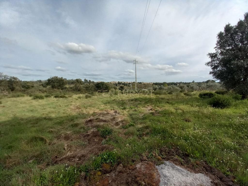 Terreno Rústico Póvoa e Rio de Moinhos, Castelo Branco. - Image 11