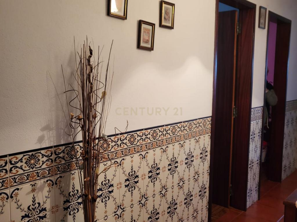 Quinta de 5ha com moradia no Sabugueiro, Arraiolos - Image 81
