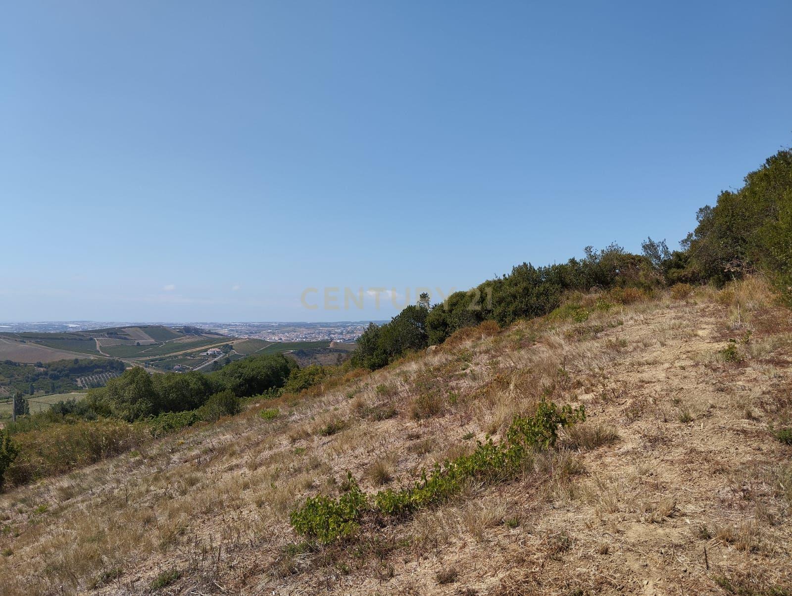 Terreno com viabilidade de construção - Vista desafogada - Image 12