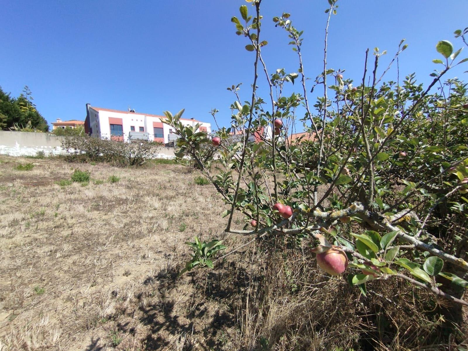 Terreno com viabilidade de construção - Vista desafogada - Image 7