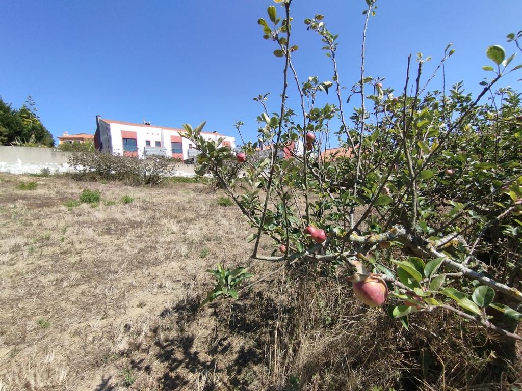 Terreno com viabilidade de construção - Vista desafogada - Image 7