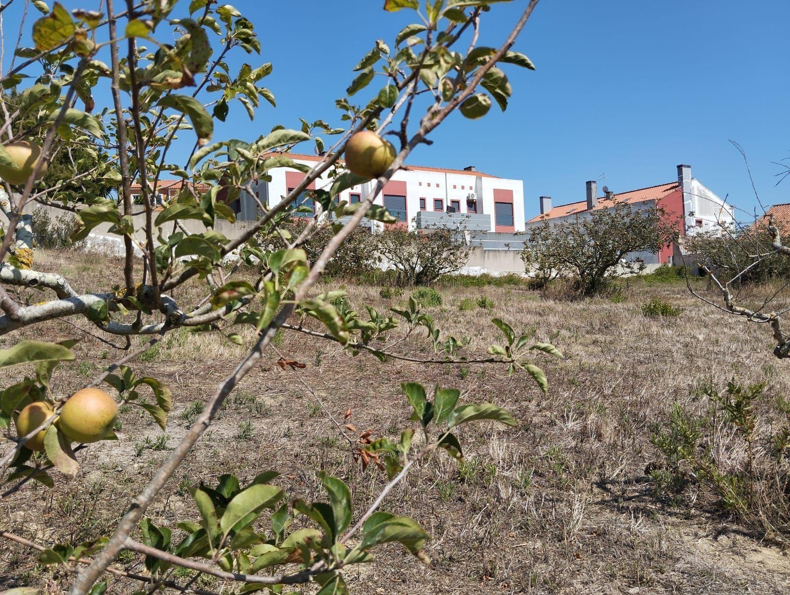 Terreno com viabilidade de construção - Vista desafogada - Image 6