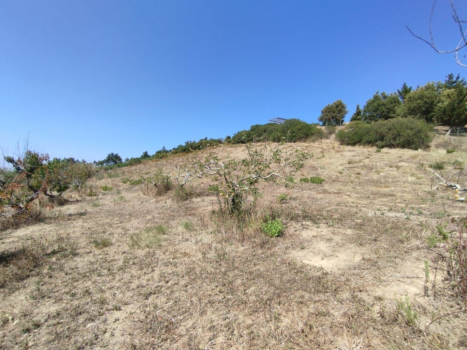 Terreno com viabilidade de construção - Vista desafogada - Image 9