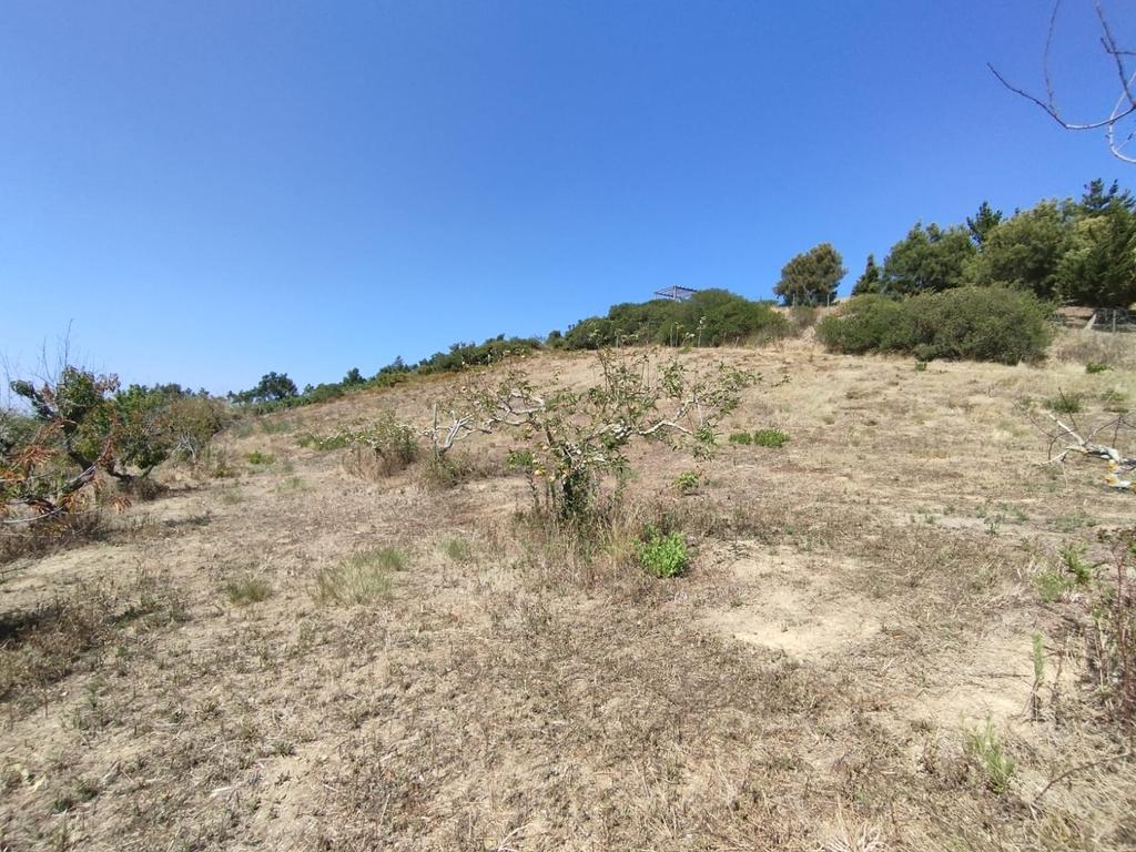 Terreno com viabilidade de construção - Vista desafogada - Image 9