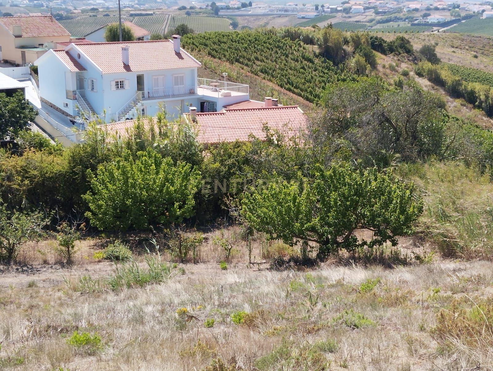 Terreno com viabilidade de construção - Vista desafogada - Image 4