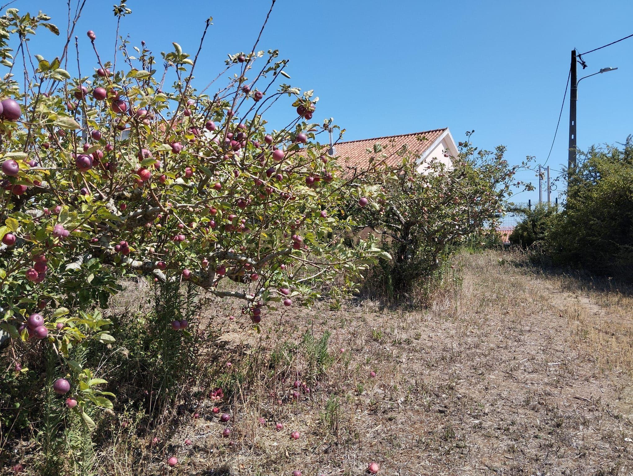 Terreno com viabilidade de construção - Vista desafogada - Image 16