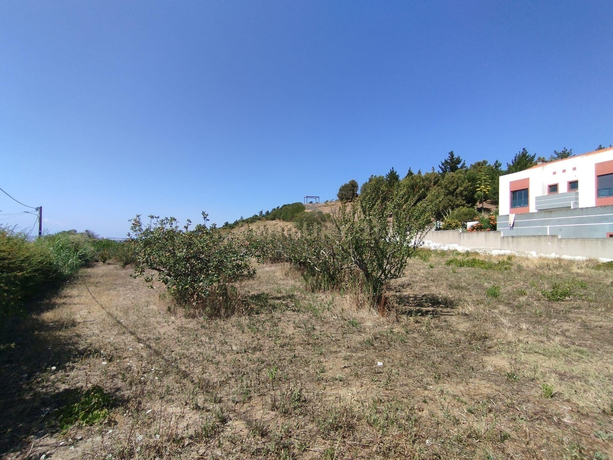 Terreno com viabilidade de construção - Vista desafogada - Image 3