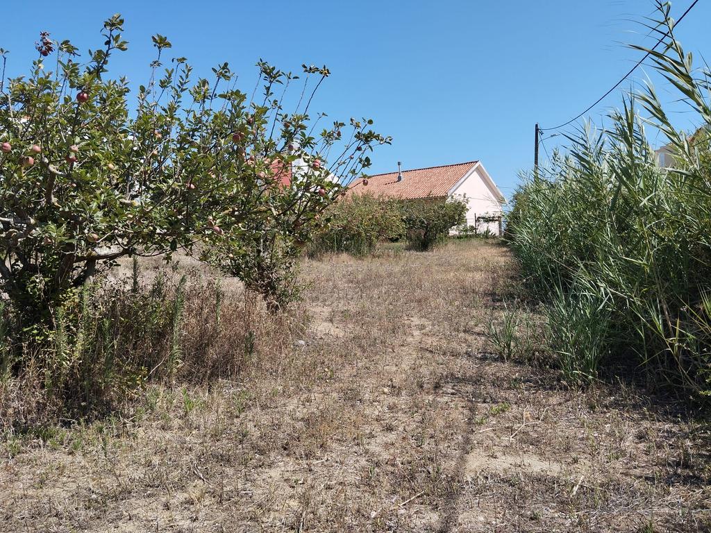 Terreno com viabilidade de construção - Vista desafogada - Image 11