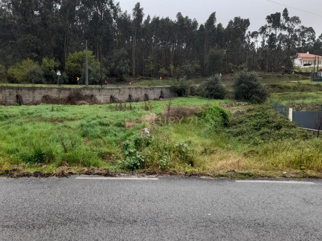 Terreno para Construção de Moradia/Moradias na Estrada Batalha-Fátima - Image 1