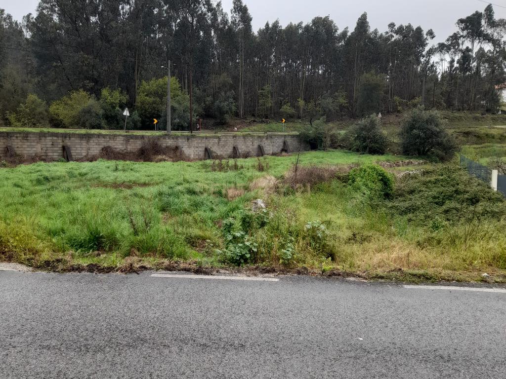 Terreno para Construção de Moradia/Moradias na Estrada Batalha-Fátima - Image 16