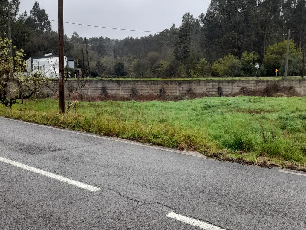 Terreno para Construção de Moradia/Moradias na Estrada Batalha-Fátima - Image 17
