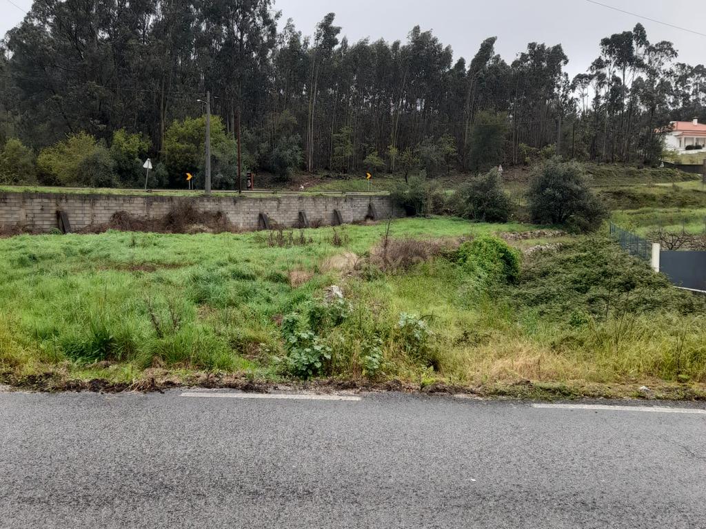 Terreno para Construção de Moradia/Moradias na Estrada Batalha-Fátima - Image 14