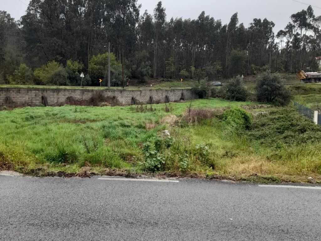 Terreno para Construção de Moradia/Moradias na Estrada Batalha-Fátima - Image 10