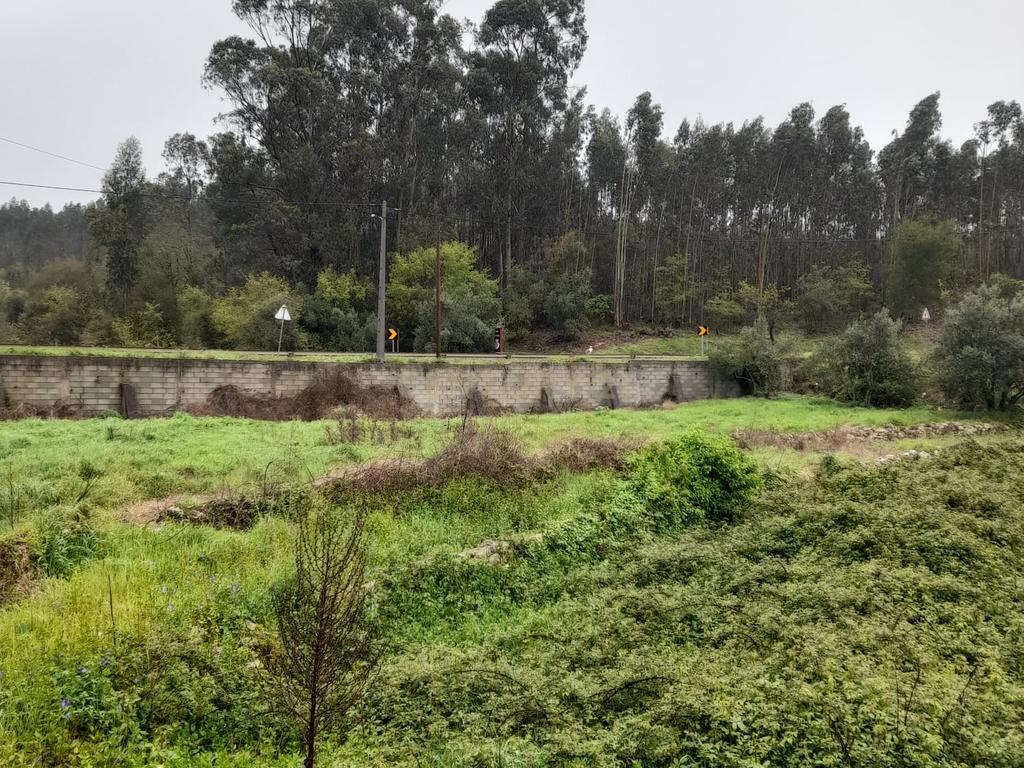 Terreno para Construção de Moradia/Moradias na Estrada Batalha-Fátima - Image 2