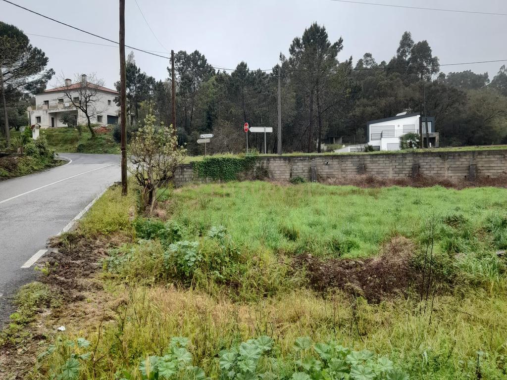Terreno para Construção de Moradia/Moradias na Estrada Batalha-Fátima - Image 4