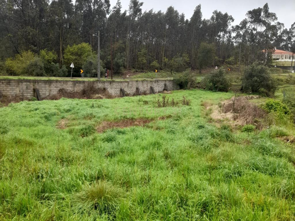Terreno para Construção de Moradia/Moradias na Estrada Batalha-Fátima - Image 5