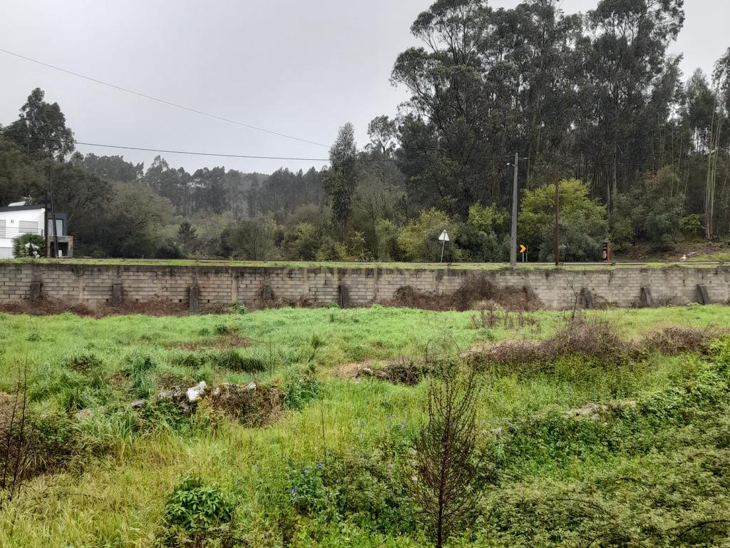 Terreno para Construção de Moradia/Moradias na Estrada Batalha-Fátima - Image 7