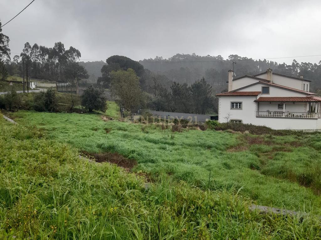 Terreno para Construção de Moradia/Moradias na Estrada Batalha-Fátima - Image 8